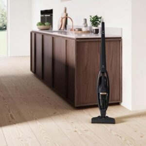 Aspirateur balai ELECTROLUX WQ61-42GG