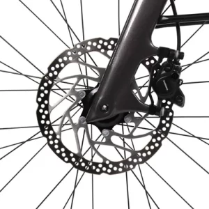 Orbea Diem 30