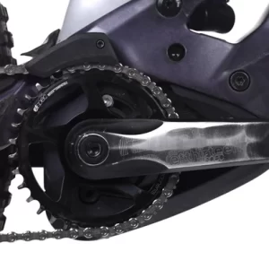 Orbea Wild M-Team
