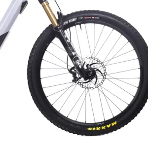Orbea Wild M-Team