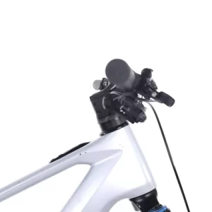 Orbea Wild M-Team