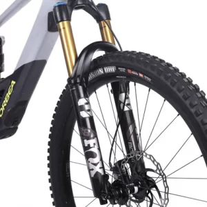 Orbea Wild M-Team