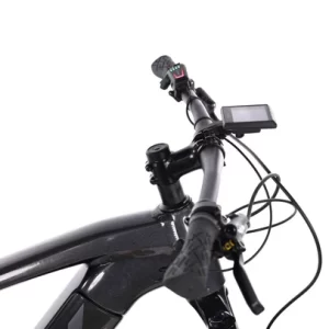 Trek Powerfly 5