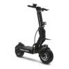Trottinette Electrique DUALTRON X2 8300w