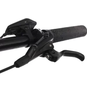 Scott Axis eRide Evo Tour